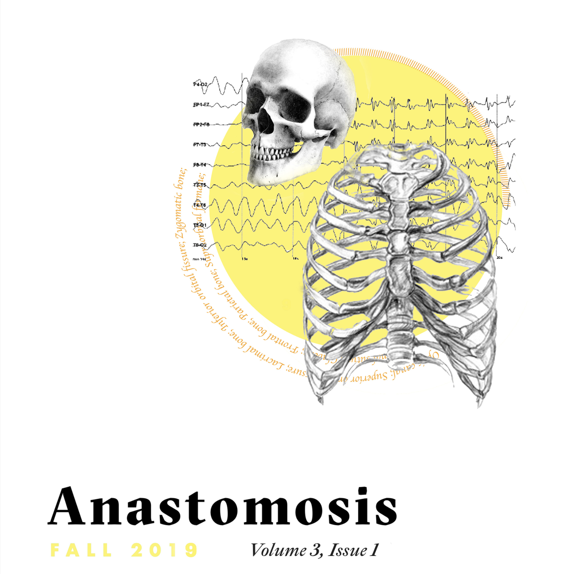 Anastomosis, Fall 2019