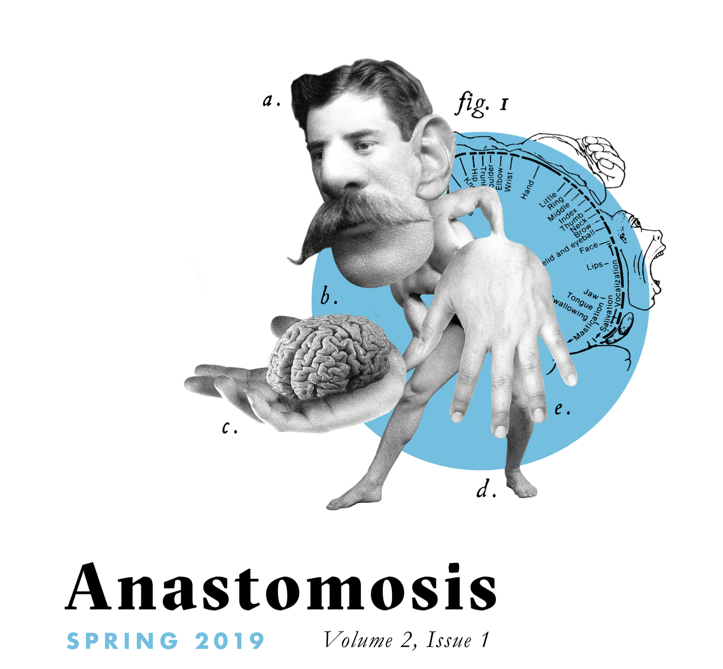 Anastomosis, Spring 2019
